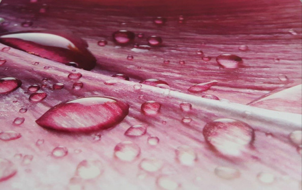 Scodix Business Cards|One Side